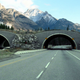 Image for article titled These Incredible Man-Made Highways Are Built Just for Animals